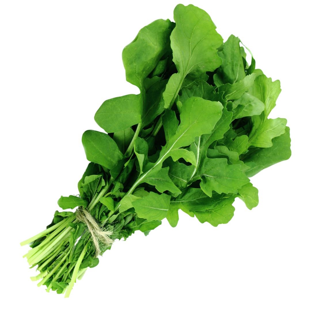Arugula (Rocket Lettuce)