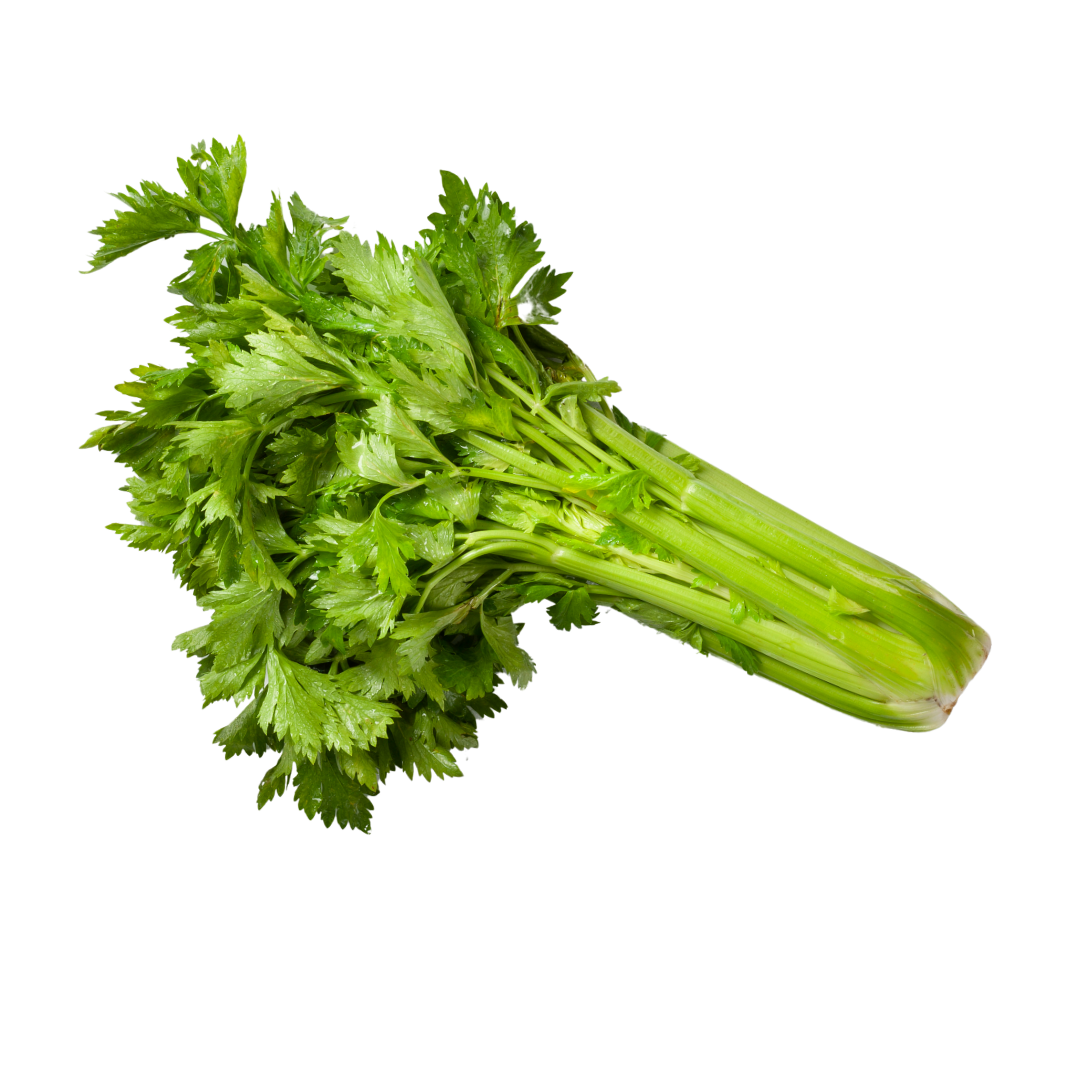 Celery