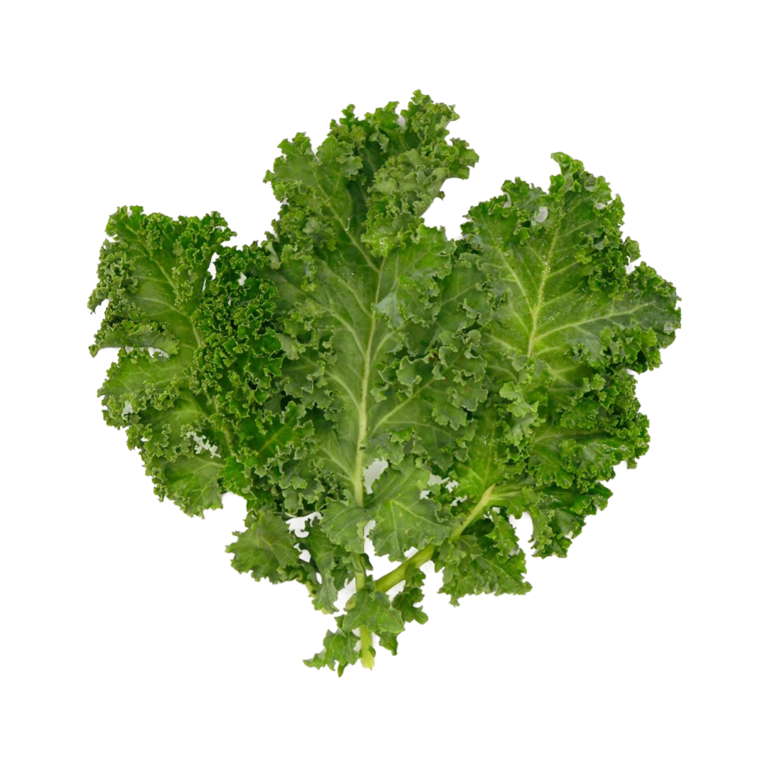 Curly Kale