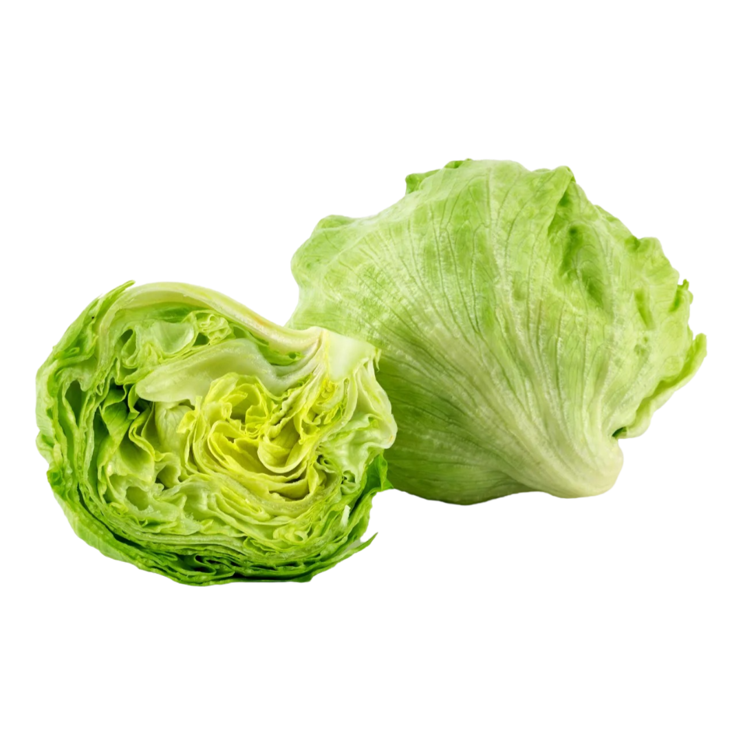 IceBerg Lettuce