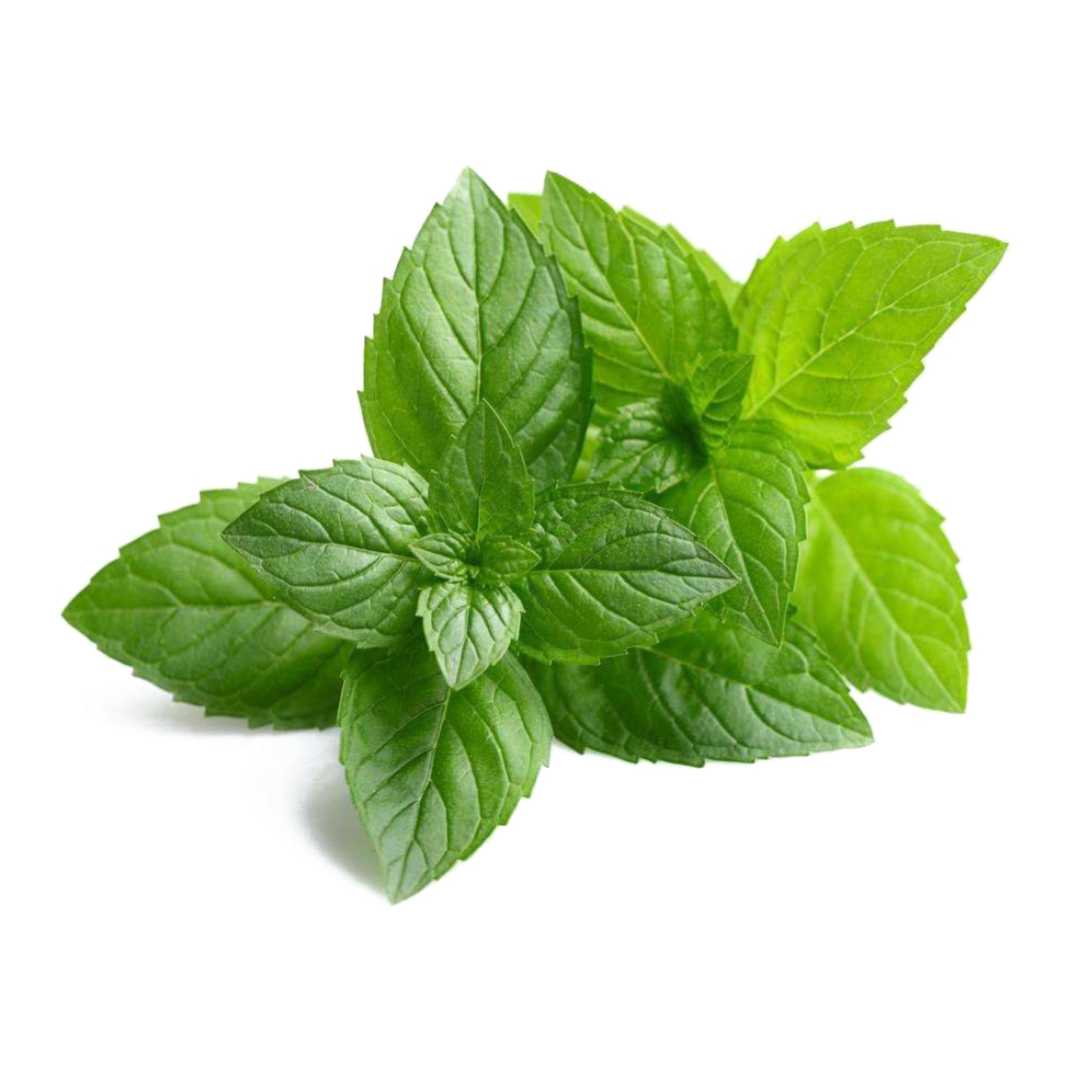 Mint